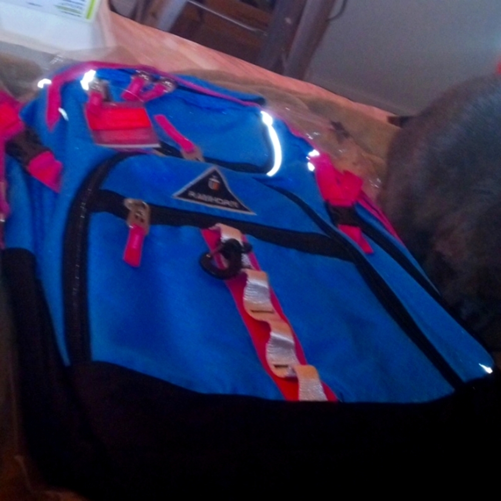 Back pack